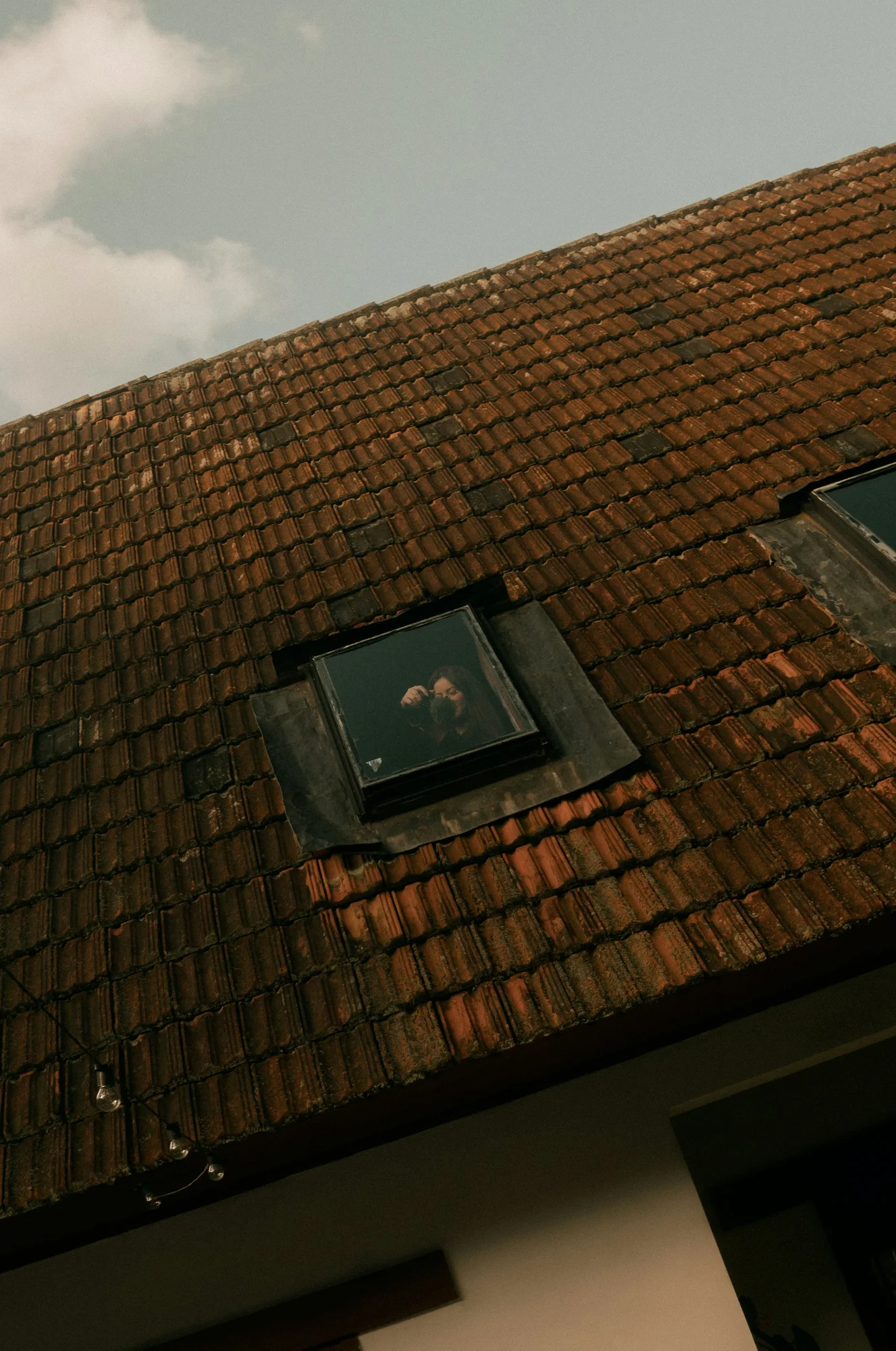 Tagvindue i Nordsjælland